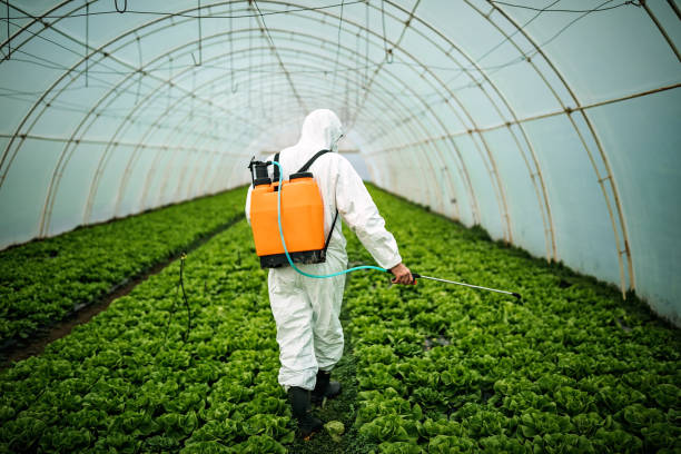 Best Best Pest Control Companies  in Ashville, OH