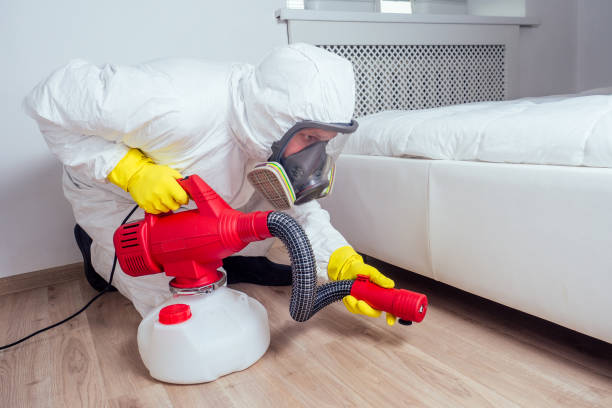 Best Pest Inspection Near Me  in Ashville, OH