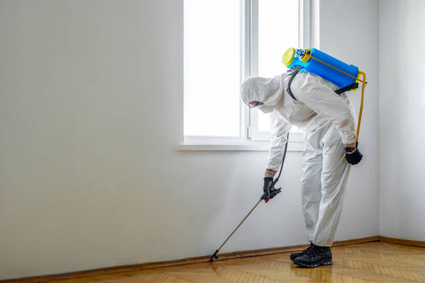 Best Exterminator Services  in Ashville, OH