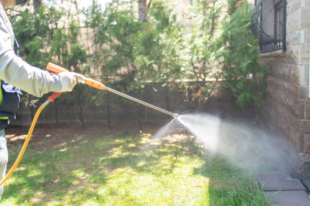 Best Emergency Pest Control  in Ashville, OH