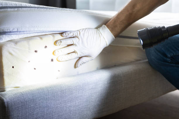 Best Pest Control Near Me in Ashville, OH