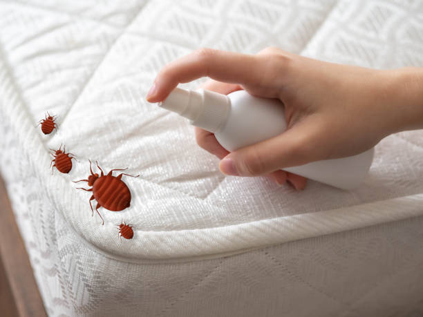 Professional Pest Control in Ashville, OH