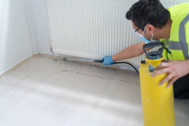 Best Bed Bug Extermination  in Ashville, OH
