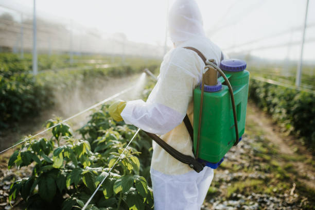 Best Flea Control Services  in Ashville, OH